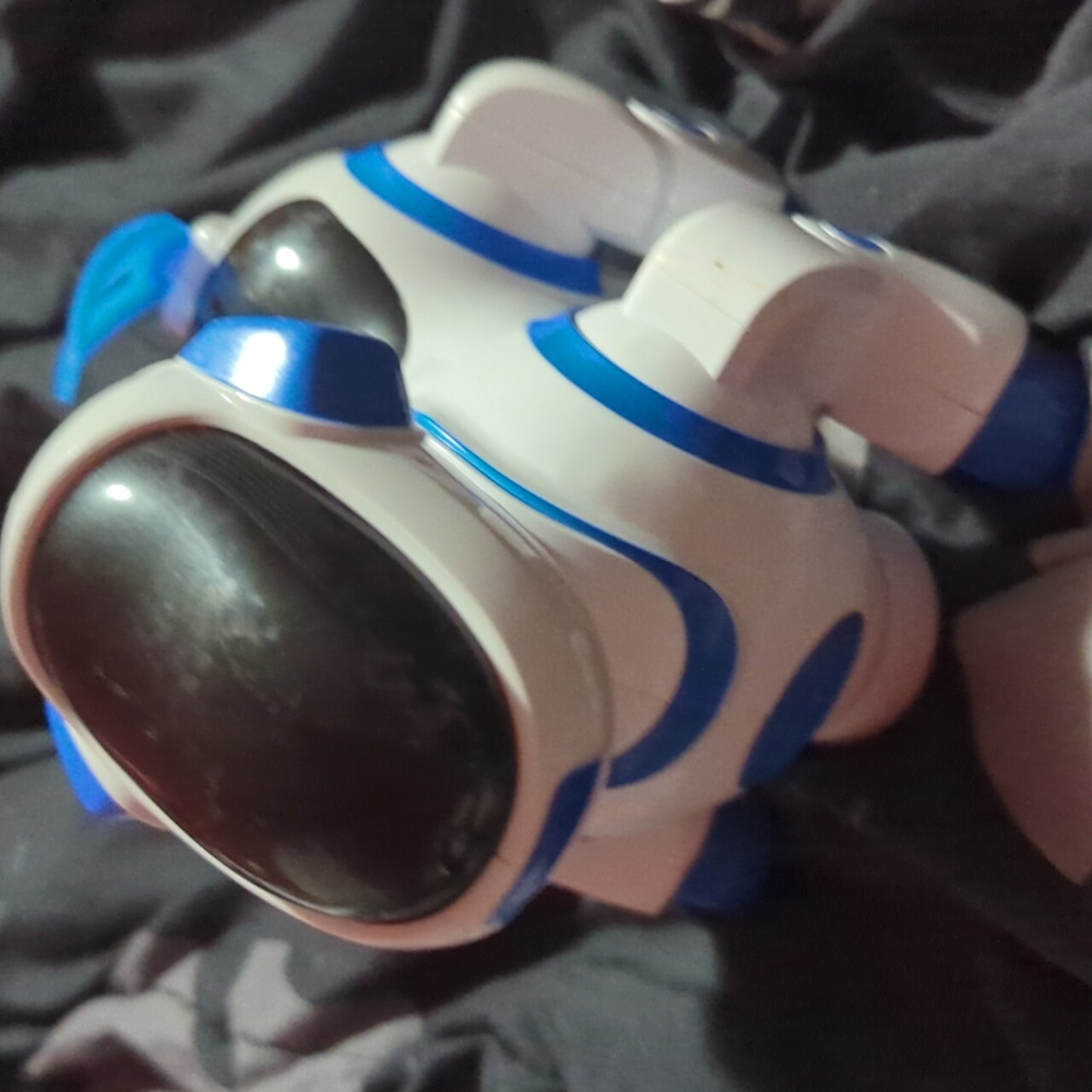 Robot dancing dog